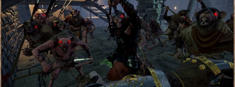 Warhammer: End Times Vermintide – Infos zum Empire Soldier