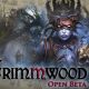 Grimmwood – Open Beta für den PC via Steam gestartet