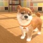 Little Friends: Dogs & Cats für Nintendo Switch erscheint am 28. Mai