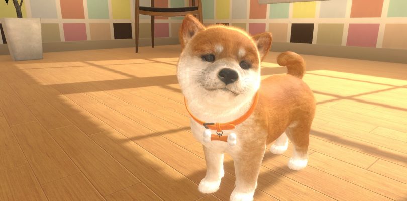 Little Friends: Dogs & Cats für Nintendo Switch erscheint am 28. Mai