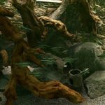 Biotope – Aquarium Simulator startet in den Early Access