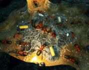 Empires of the Undergrowth – „Exploding Ants“-DLC veröffentlicht