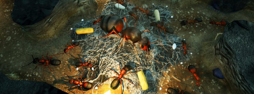 Empires of the Undergrowth – Fire Ant-Update veröffentlicht