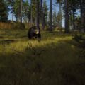 Way of the Hunter – Erstes Gameplay-Video veröffentlicht
