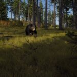Way of the Hunter – Erstes Gameplay-Video veröffentlicht