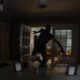 Paranormal Tales – Neuer Trailer zum Bodycam-Horror