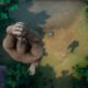 Skull Island: Rise of Kong startet auf PC und Konsolen