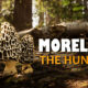 Morels: The Hunt 2 – Ein Gameplay-Trailer zum Release