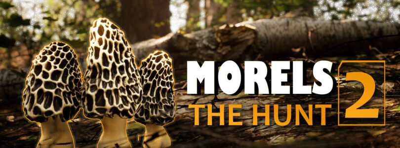 Morels: The Hunt 2 – Ein Gameplay-Trailer zum Release