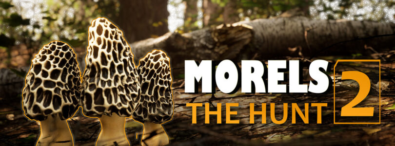 Morels: The Hunt 2 – PS5-Version veröffentlicht