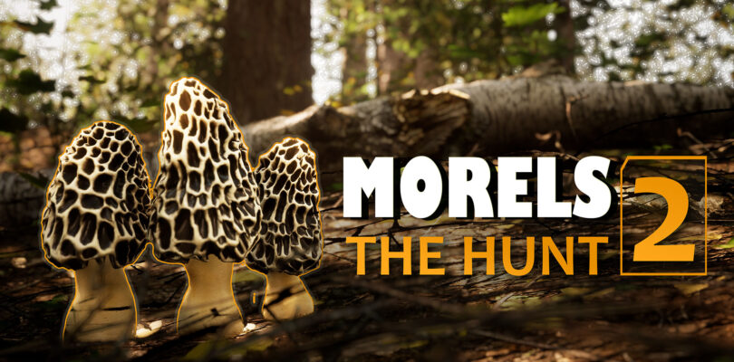 Morels: The Hunt 2 – Ein Gameplay-Trailer zum Release