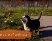 Animal Shelter 2 – Prologue-Demo mit Koop-Funktion