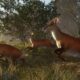 theHunter: Call of the Wild – „Alberta“-Karte kommt im Juni