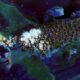 EverSiege: Untold Ages – Action-Strategie trifft Roguelite