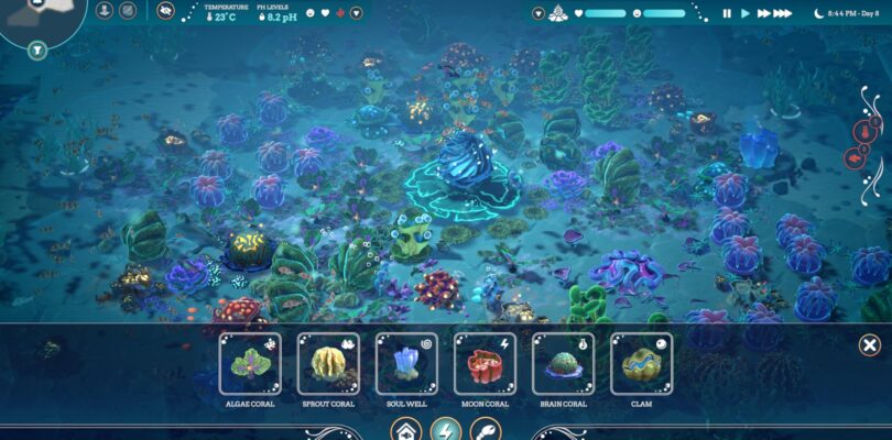 Life Below – Aufbaustrategie unter dem Meer