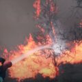 Rescue Ops: Wildfire – Neue Rettungssimulation angekündigt