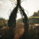 Fractured Blooms – Demo zur Horror-Farming Sim